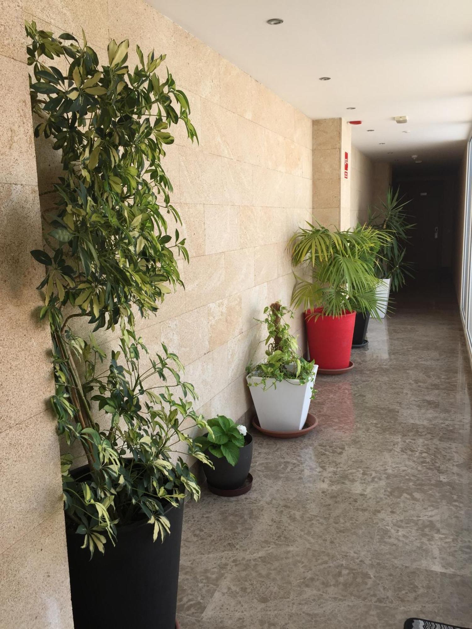Apartamentos Parking Mérida Buitenkant foto